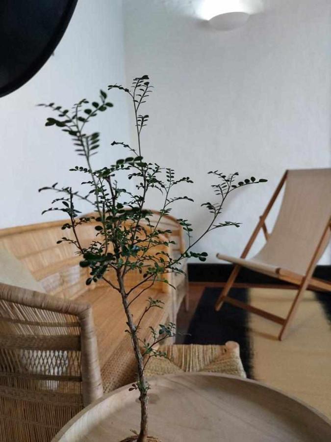 Apartament Casa Yooj Designers House In Teguise Teguise  Zewnętrze zdjęcie